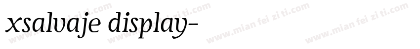 xsalvaje display字体转换